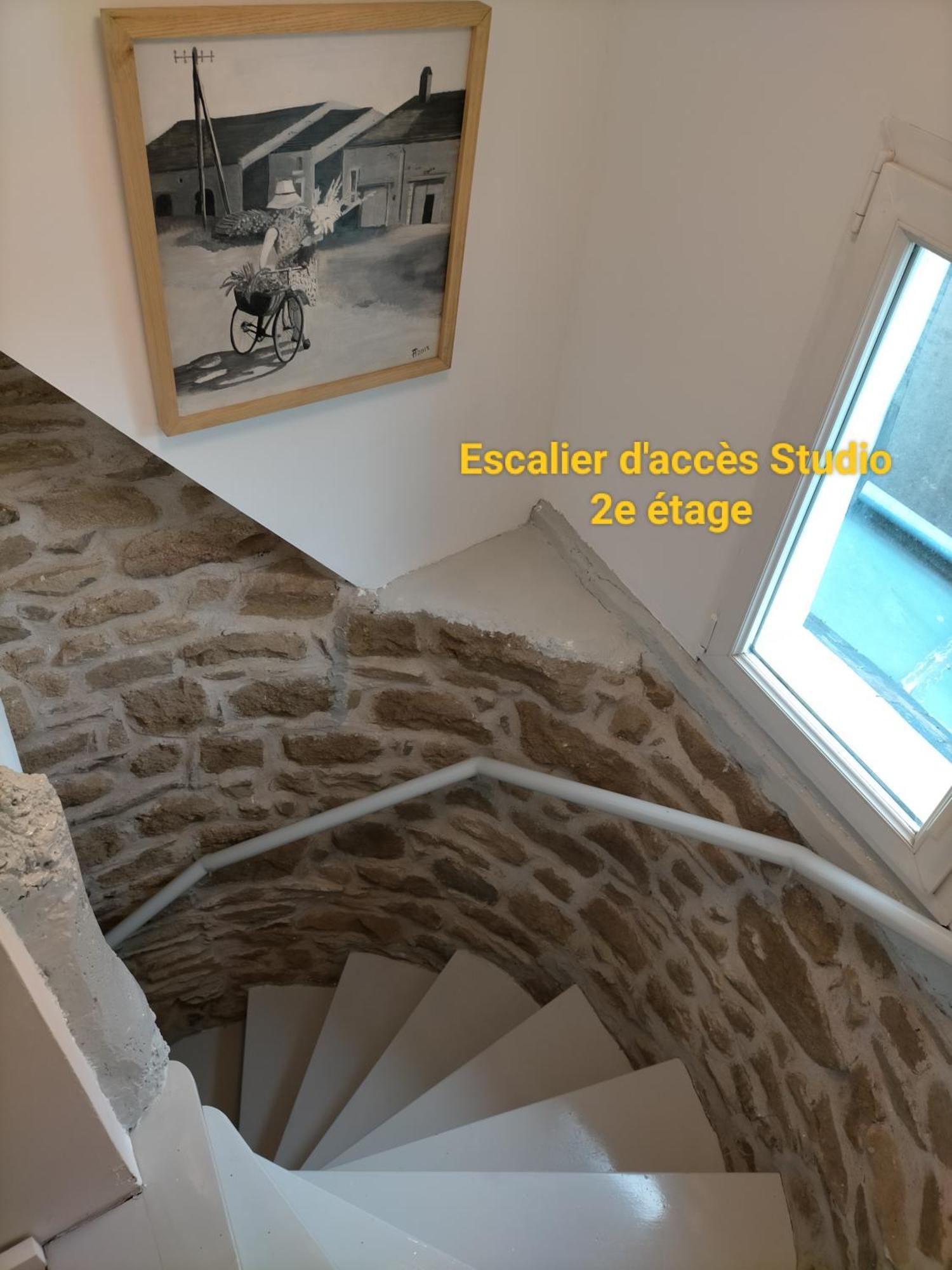 Le 1 St Yves Studios Tréguier 外观 照片